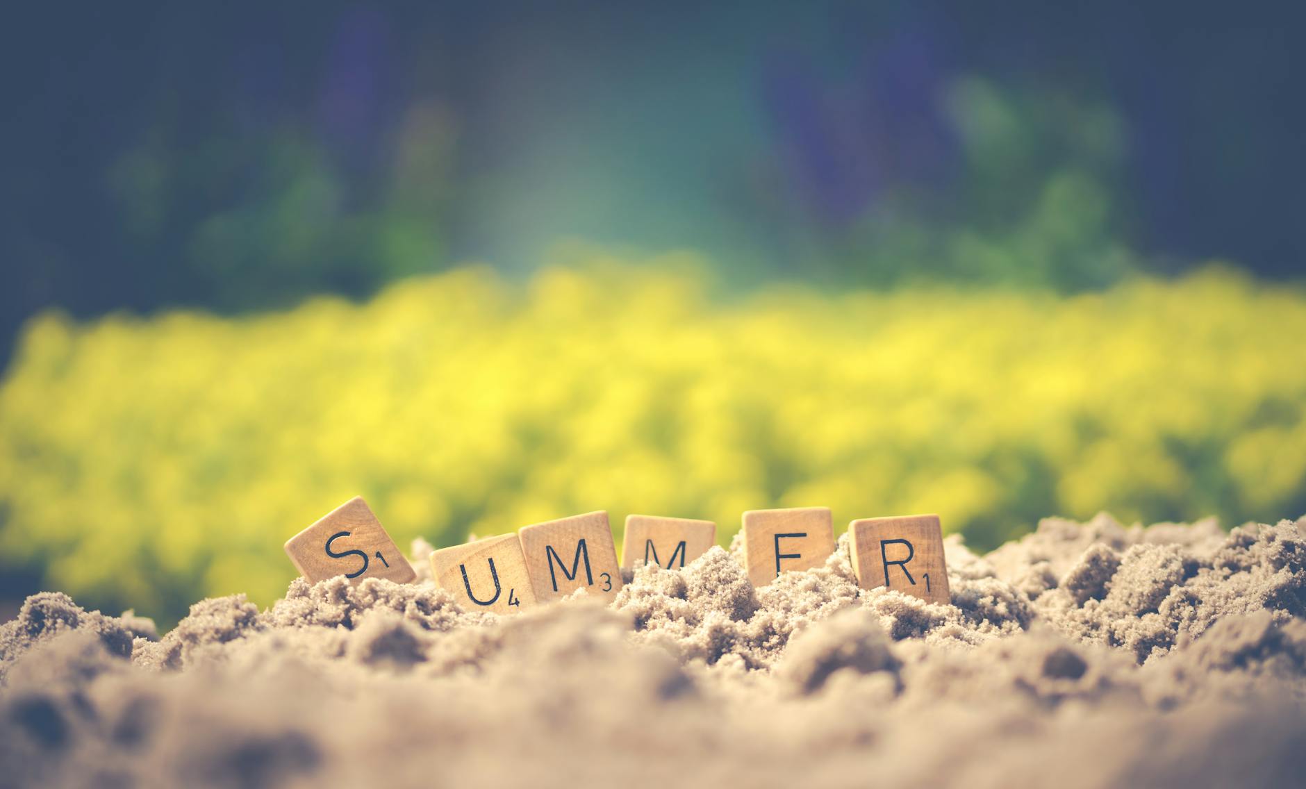 Summer Learning Activities