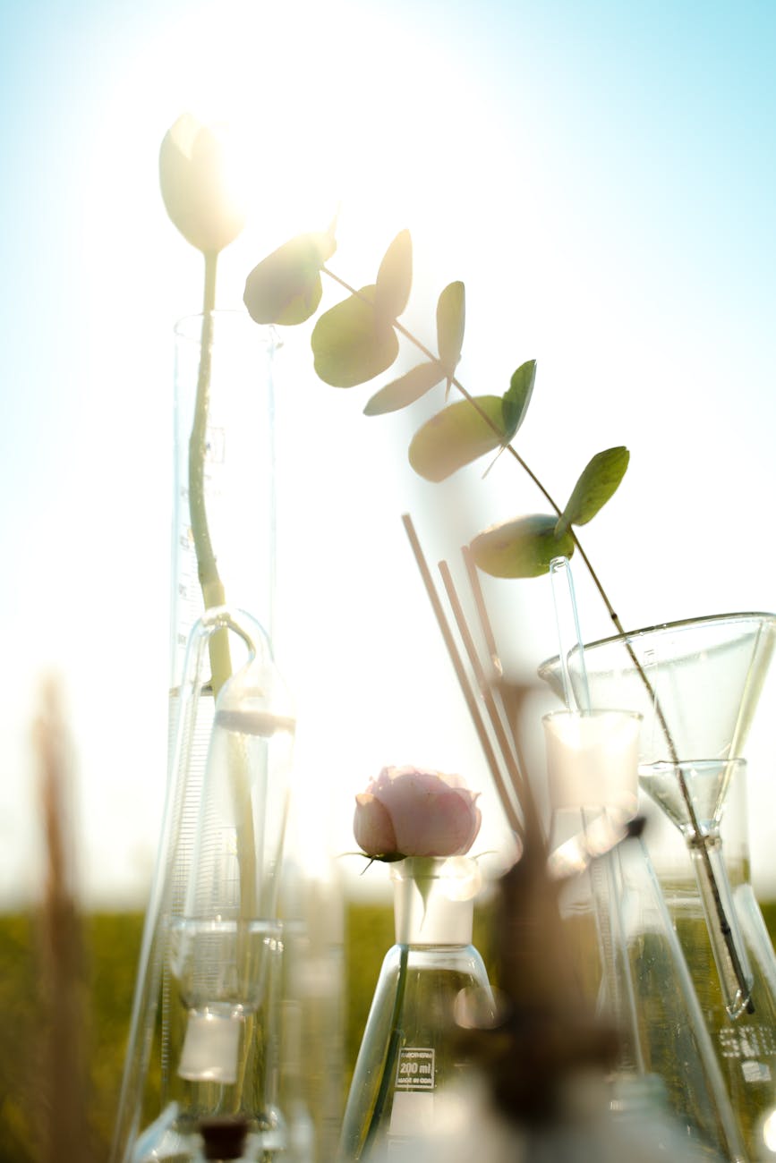 plants in glass laboratory flasks